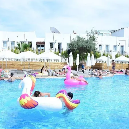 Dream Palace Отель 3*